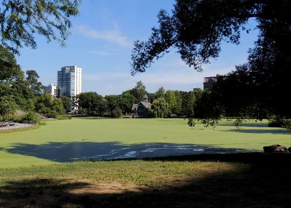 Central Park North