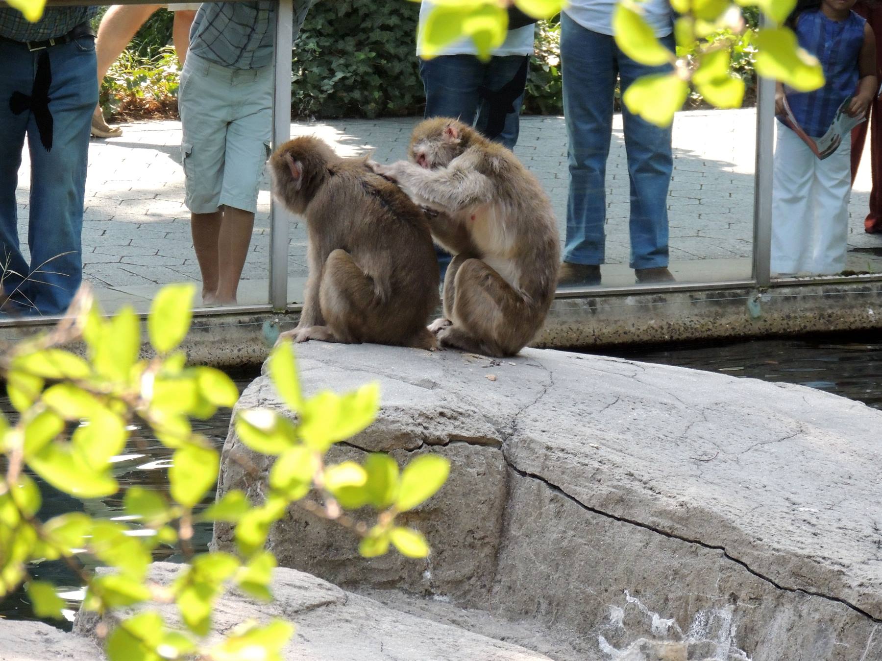 Central Park Zoo