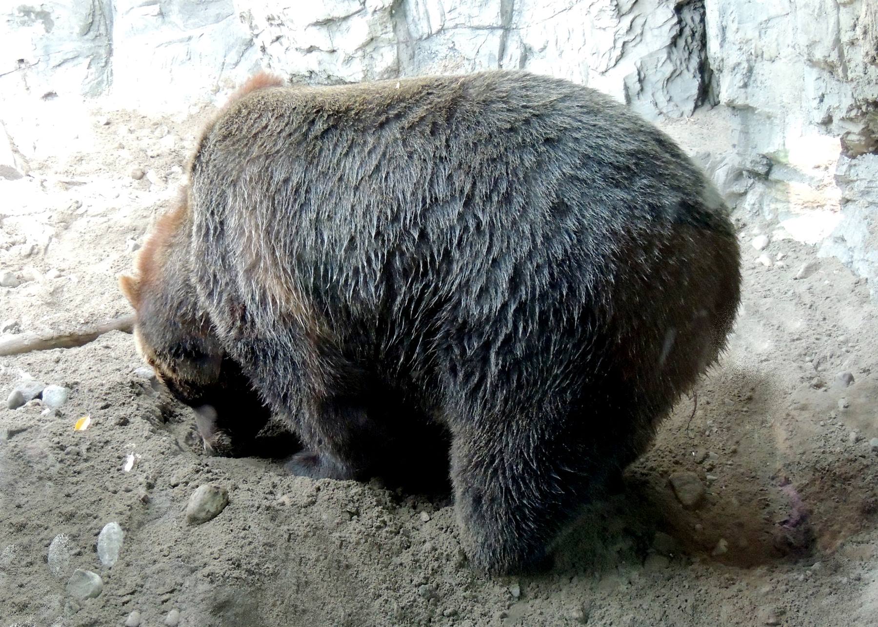 Central Park Zoo