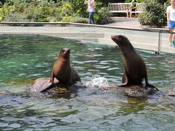 Central Park Zoo