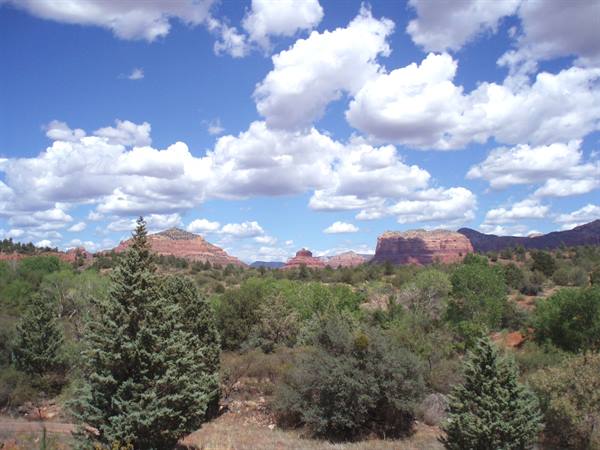 Coconino National Forest