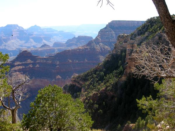 Grand Canyon - South Rim