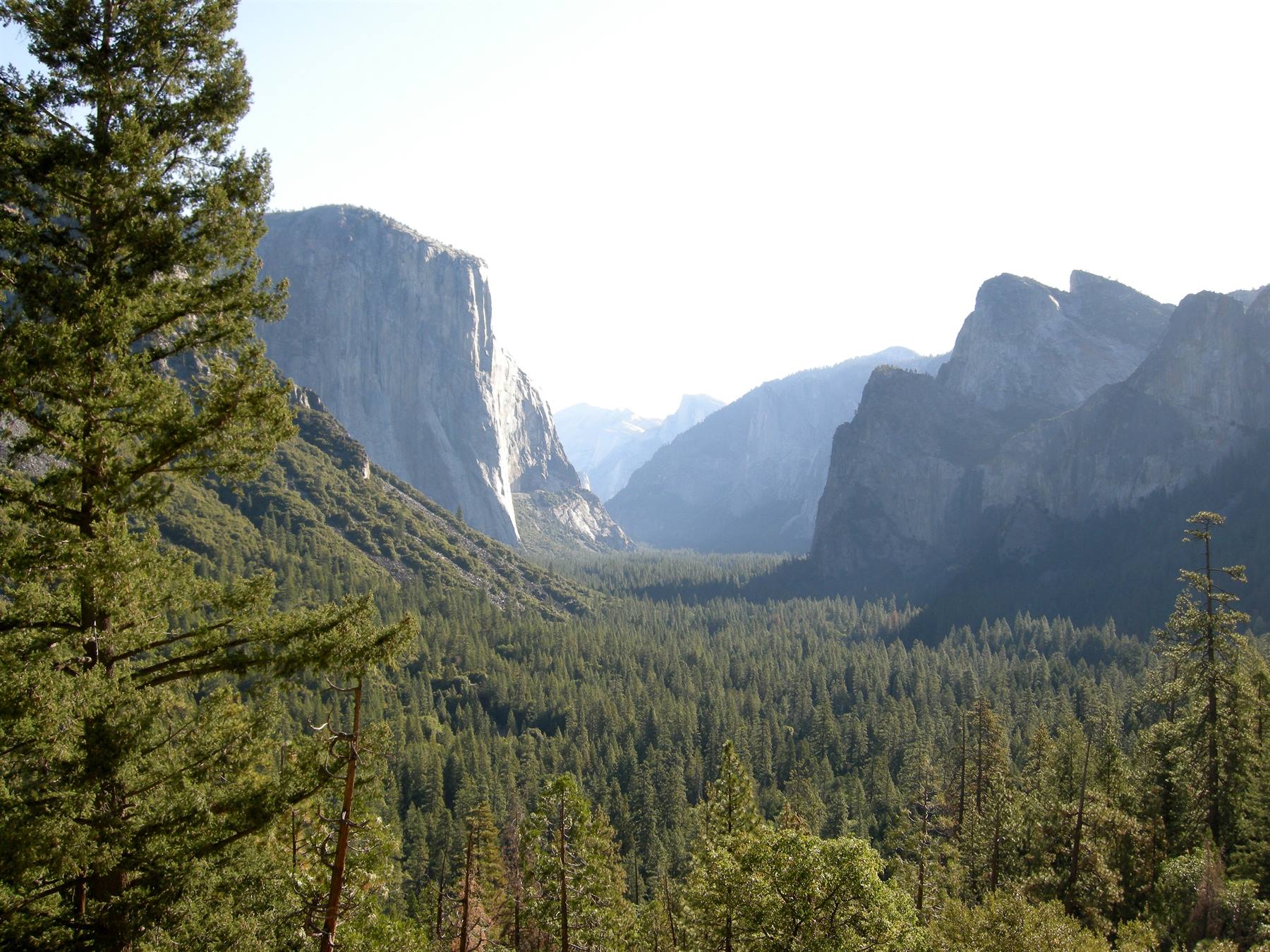 Yosemite National Park - The Glacier