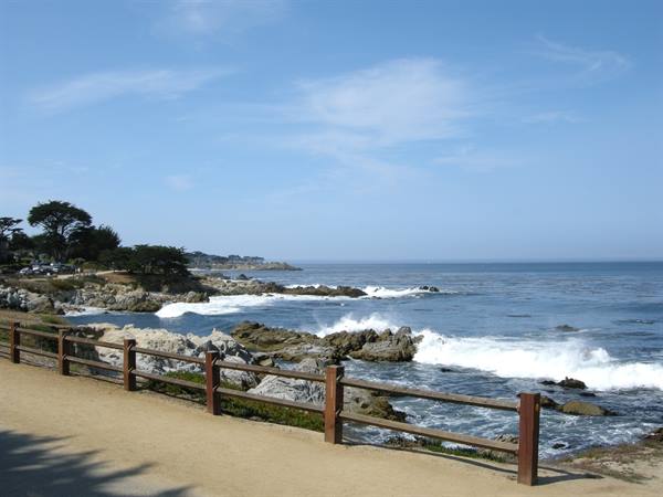 Monterey Coast