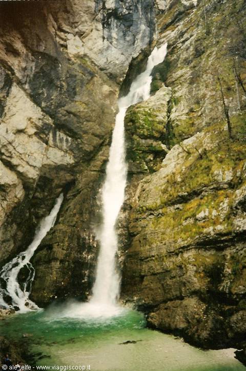 Savica Falls: white water cascading on grey rock, green pool below