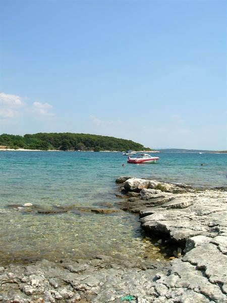 rocks