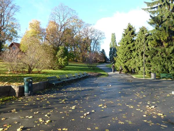 Autumn path with green benches and scattered leaves, visitors at Oslo's Folk Museum