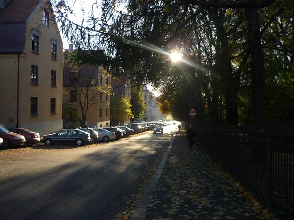 Low sun through trees over parked cars and yellow buildings in Oslo