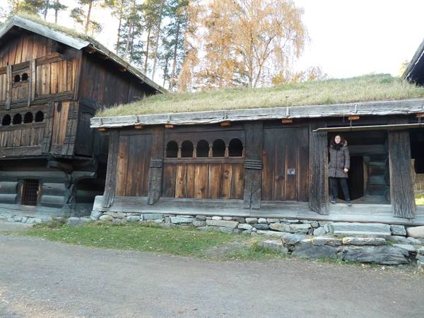 Wooden stave houses with turf roofs at Bygdøy open-air museum, Oslo