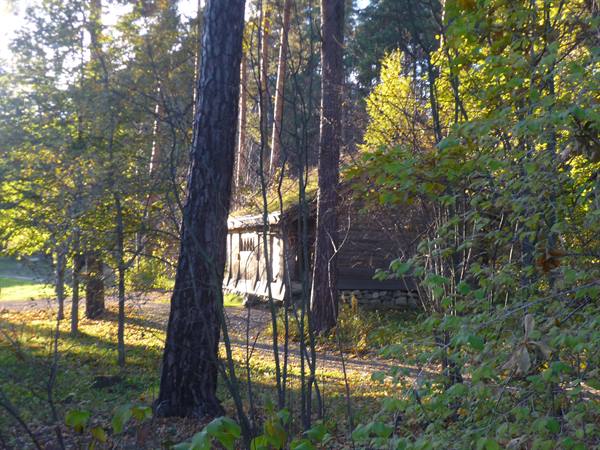 Wooden cabin among trees at Bygdøy open-air museum, Oslo