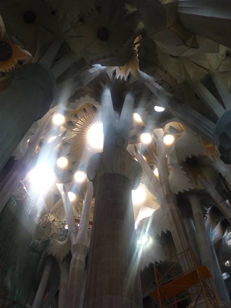 Branching columns and sunlight filtering through the Sagrada Família ceiling
