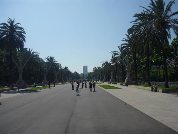 Palm-lined promenade in Barcelona, people strolling, a tower in the distance