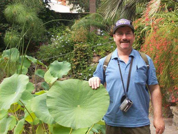 Ischia: The La Mortella gardens
