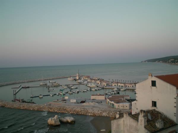 The port