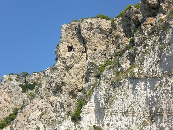 White limestone cliff under blue sky, green bushes clinging to the rock