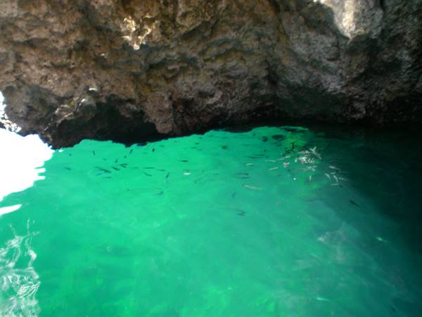 Small fish swim in turquoise water beneath the cave rock
