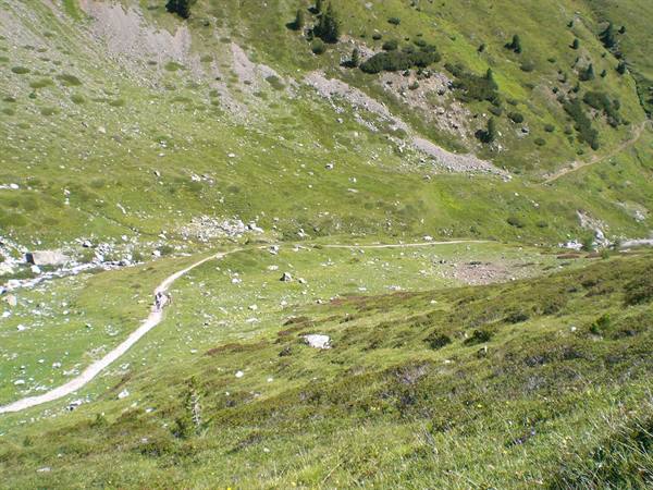 the trails