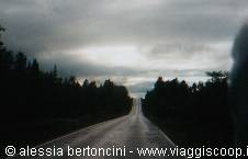 On the road to North Cape no. 2