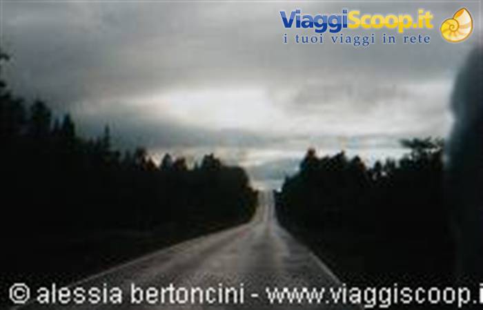 On the road to North Cape no. 2