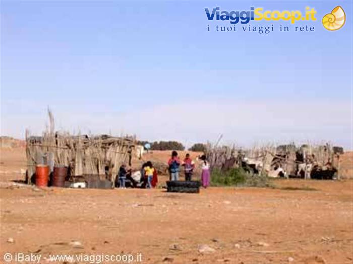 Bedouins near the Kairouan oasis