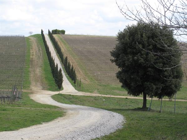 panorama Sienese Chianti