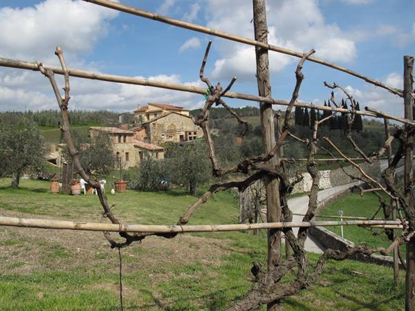 panorama Sienese Chianti