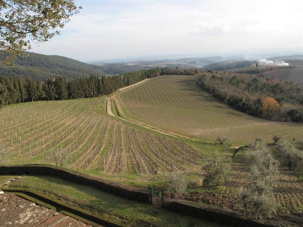 panorama from Brolio castle