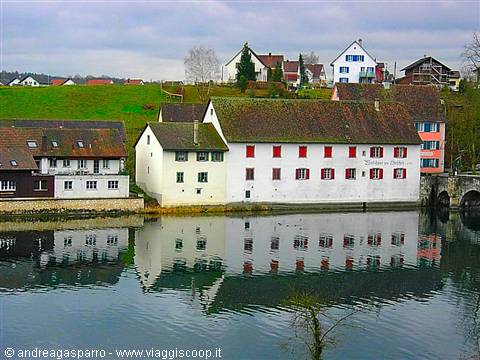 On the Rhine