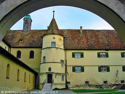 Zell