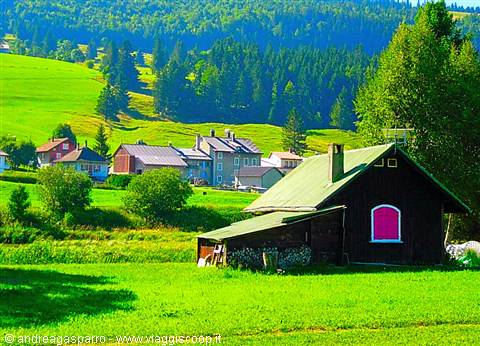 Meadows