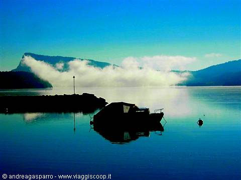 Morning at the lake