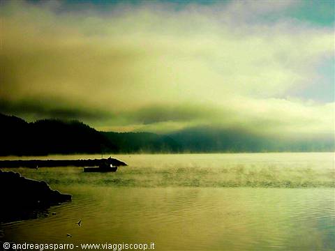 Morning at the lake