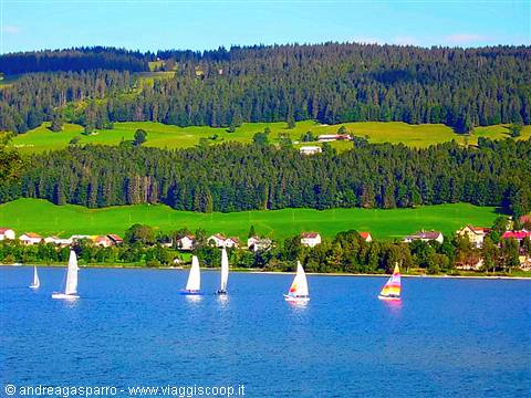 Sails
