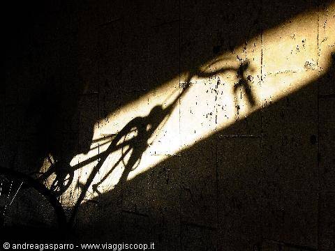 Bikes