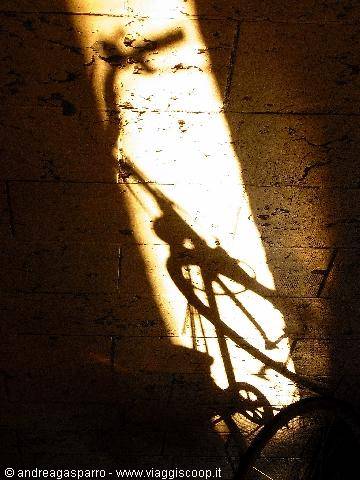 Bikes