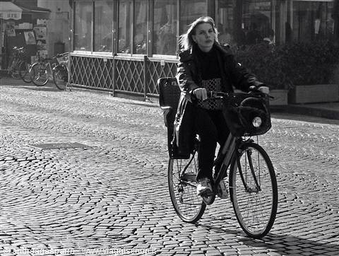 Bikes and B&W