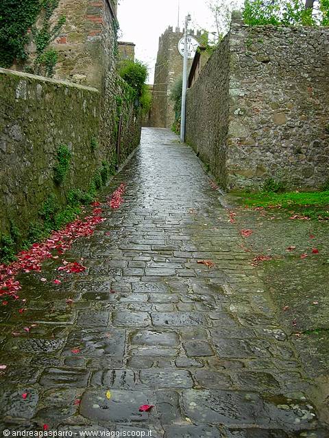 The Village