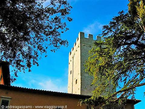 Tower