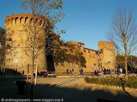 The Walls