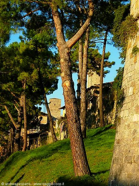 The Walls