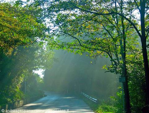 Road after San Polo