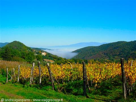 From Lucolena