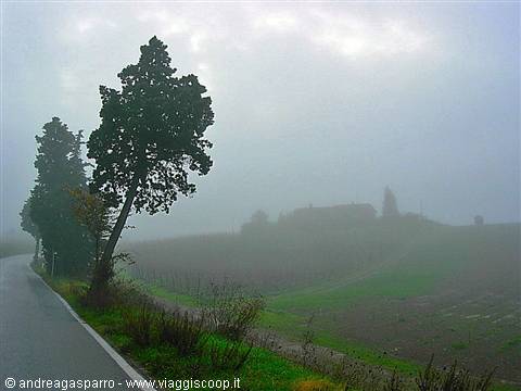 The fog comes down