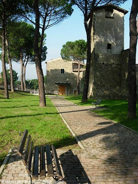 The walls