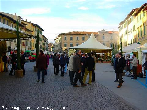 The Square