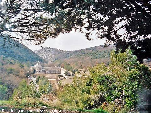 Senanque