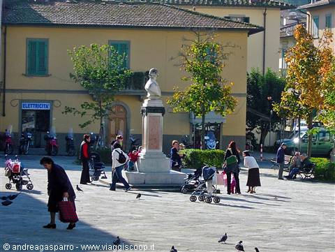 The Square
