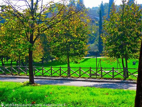 The Gardens