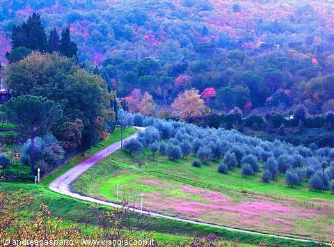 Countryside without.........