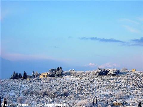 Snowy hills